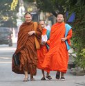 Day 10 - Ciang Mai - Twin Temples 050